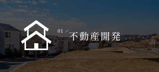 不動産開発